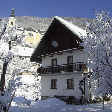 Private Apartments Bohinj Ribčev Laz エクステリア 写真