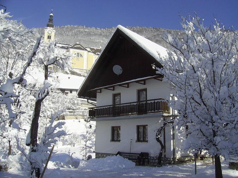 Private Apartments Bohinj Ribčev Laz エクステリア 写真